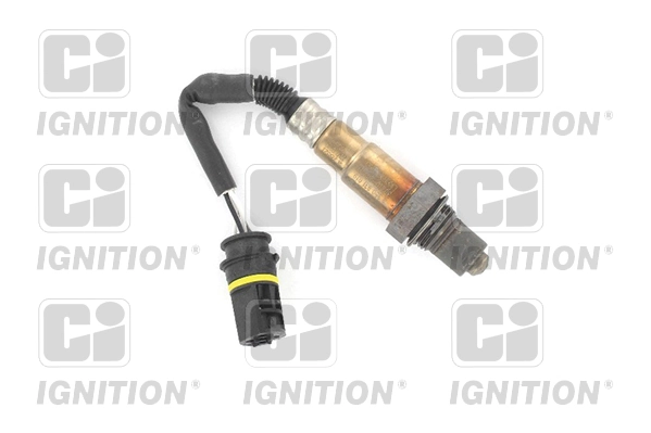 XLOS1417 QUINTON HAZELL