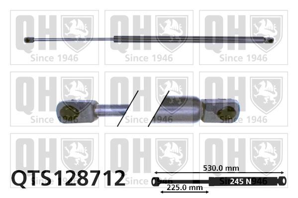 Muelle neumático de capó de motor A8  sedán (1994-2005) original desde 13,51 €