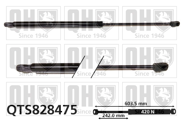 Muelle neumatico maletero Q2  SUV (2016-2026) original desde 22,19 €