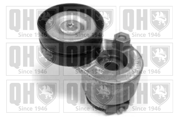 Tensor de la correa trapecial Renault Laguna II hatchback (BG0, BG1) (2001 - 2007) precio, desde 39,11 EUR