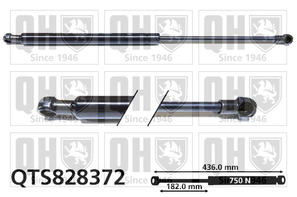 Amortiguador maletero GS1331 Magneti Marelli