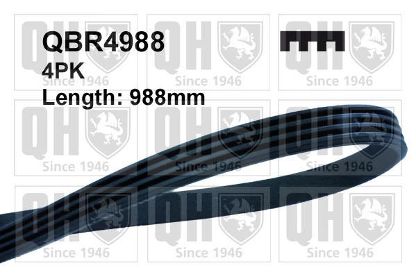 Comprar 504012393 Fiat/Alfa/Lancia Correa trapezoidal