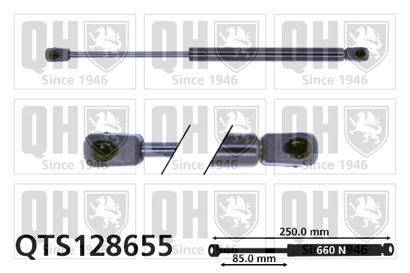 QTS128655 QUINTON HAZELL