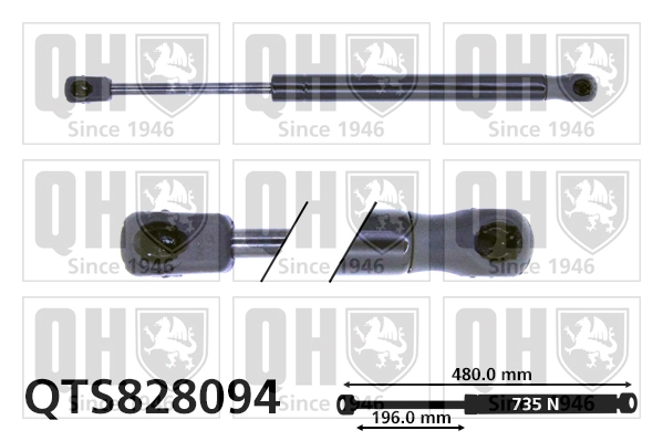 Comprar Amortiguador maletero Renault Megane III KZ0, KZ1