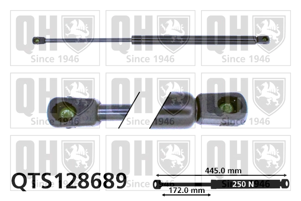 Amortiguador de maletero Peugeot 406  desde 14,08 €