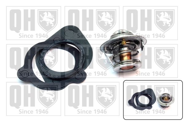 Comprar Termostato Suzuki Swift V AZ