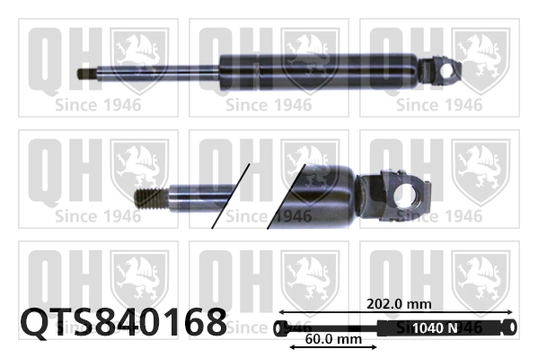 Muelle neumático, tapa delantera Mercedes C  desde 14,60 €