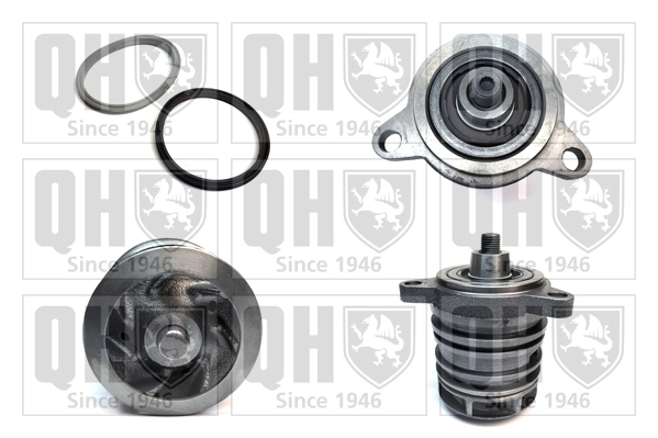 Comprar 538033810 LUK Bomba de agua para motor