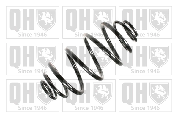 9118378 General Motors Muelle trasero