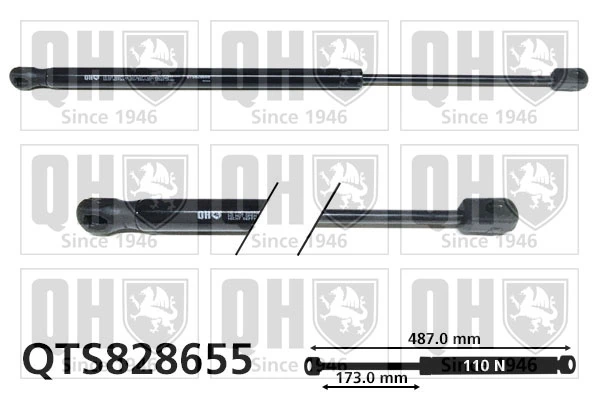 Amortiguador de maletero Volkswagen Jetta IV desde 14,33 €
