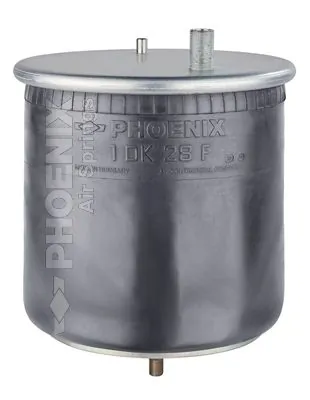 Bolsa de aire del eje trasero Renault (RVI) 7422025556 precio, desde 118,60 EUR