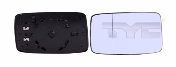 33100061 TYC