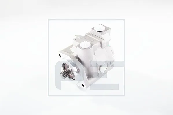01250900A PE Automotive