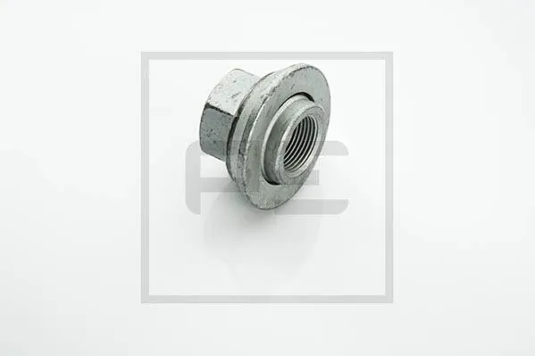 Tuerca seguridad de rueda DAF 1263487 precio, desde 11,06 EUR