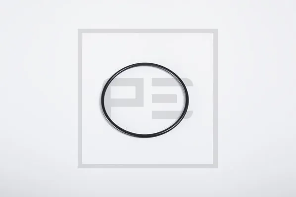 06617500A PE Automotive
