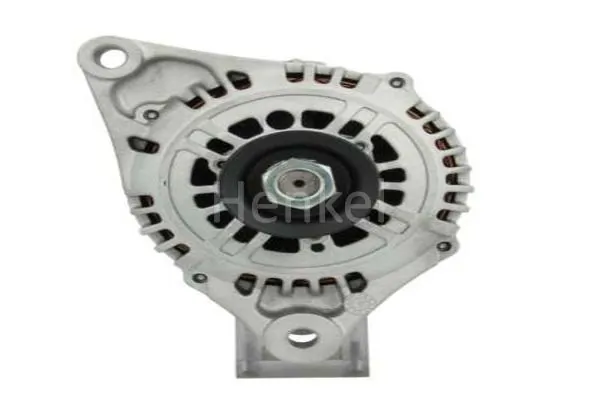 3113156 Henkel