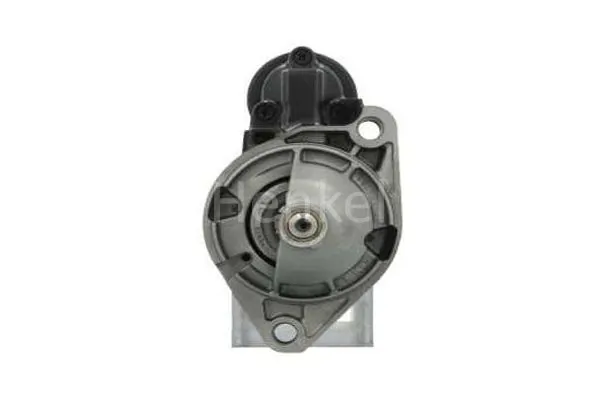 3110666 Henkel