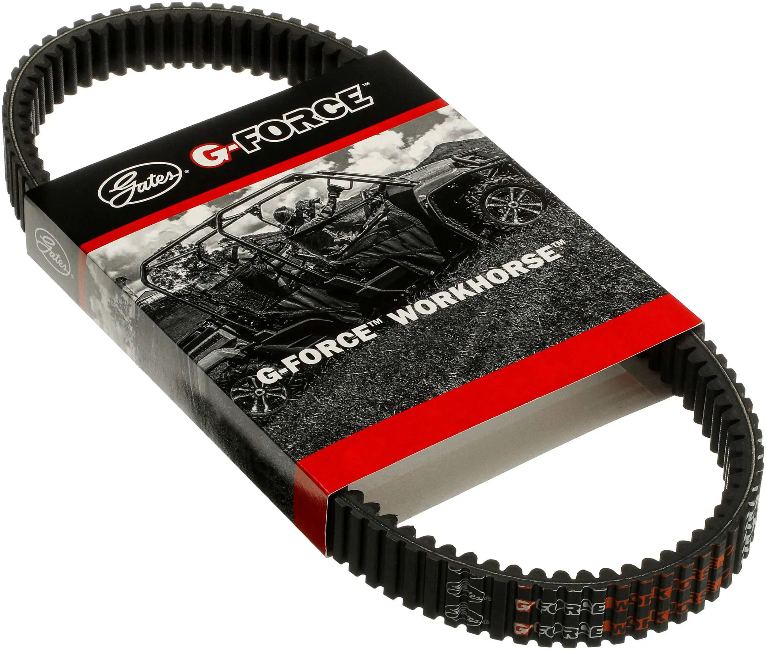 Correa de variador Gates 46G3569 precio, desde 170,46 EUR