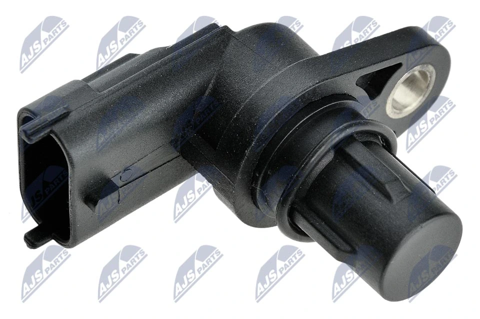 ECPCH005 NTY