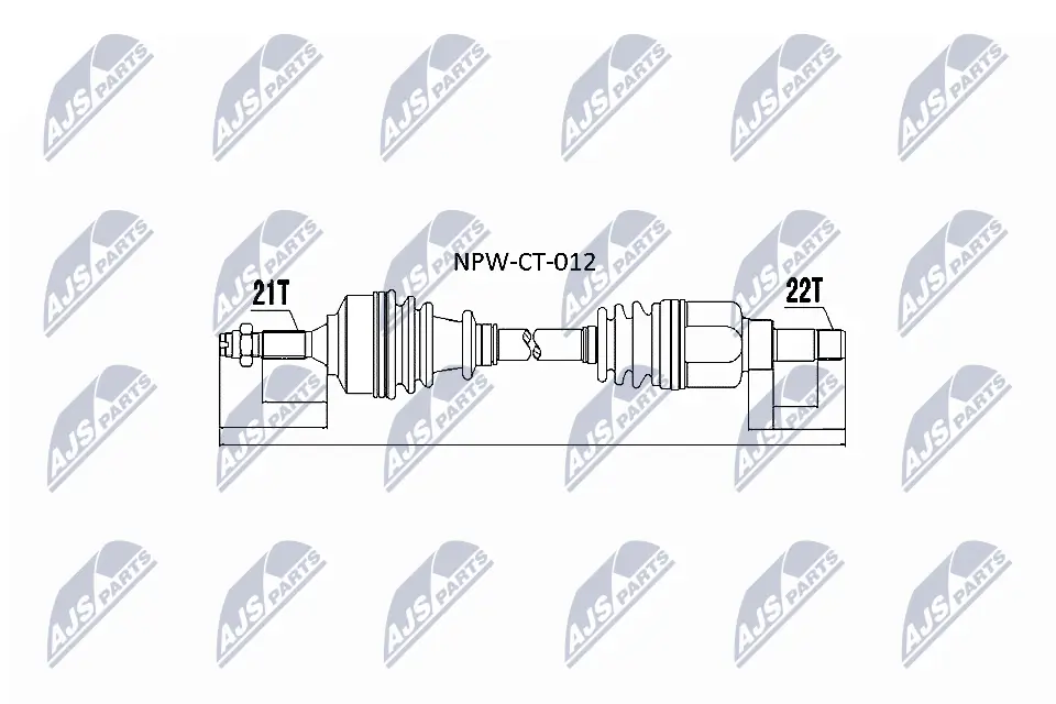 NPWCT012 NTY