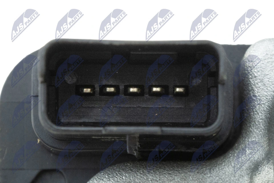 Caja de mariposa NTY ETBFR006