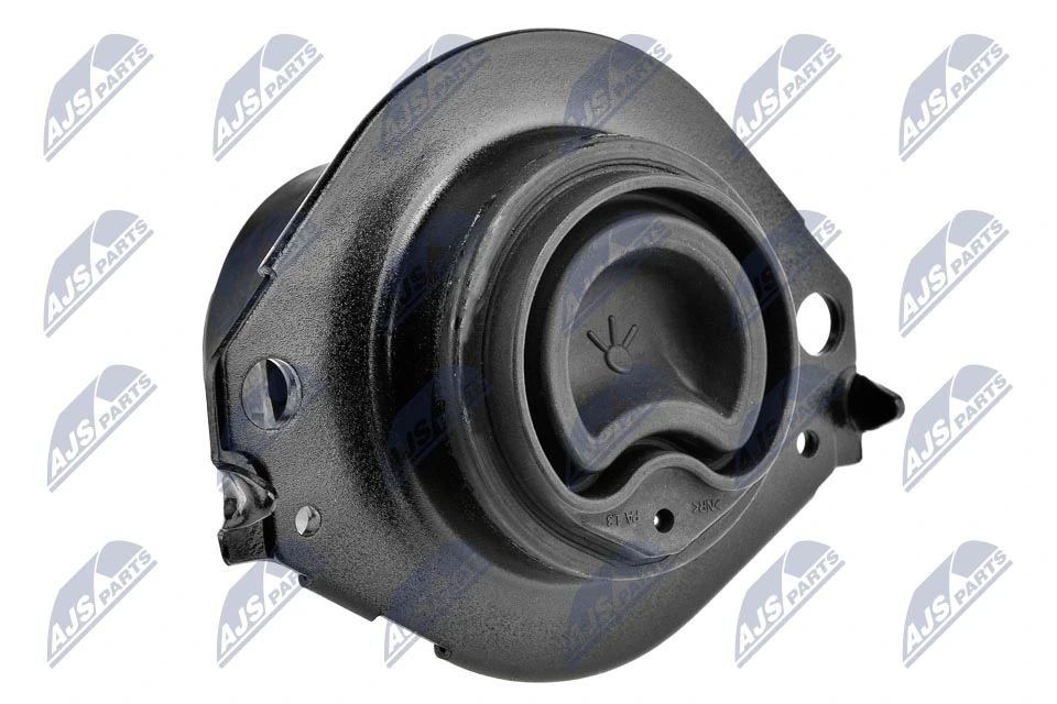 ZPSCH076 NTY Soporte elástico, suspensión del motor, Izquierda / Derecha