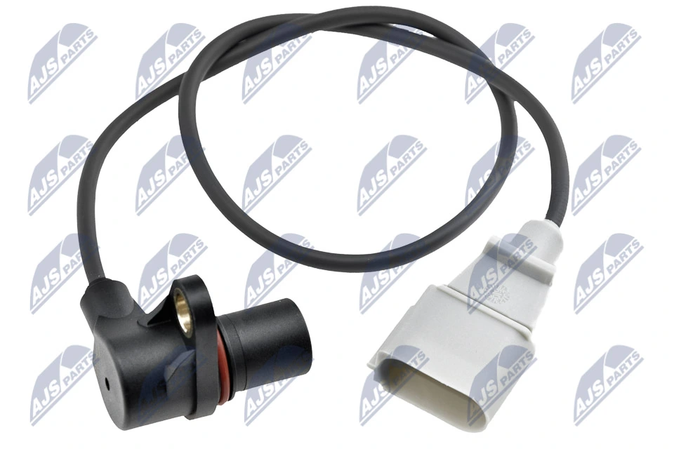ECPAU032 NTY
