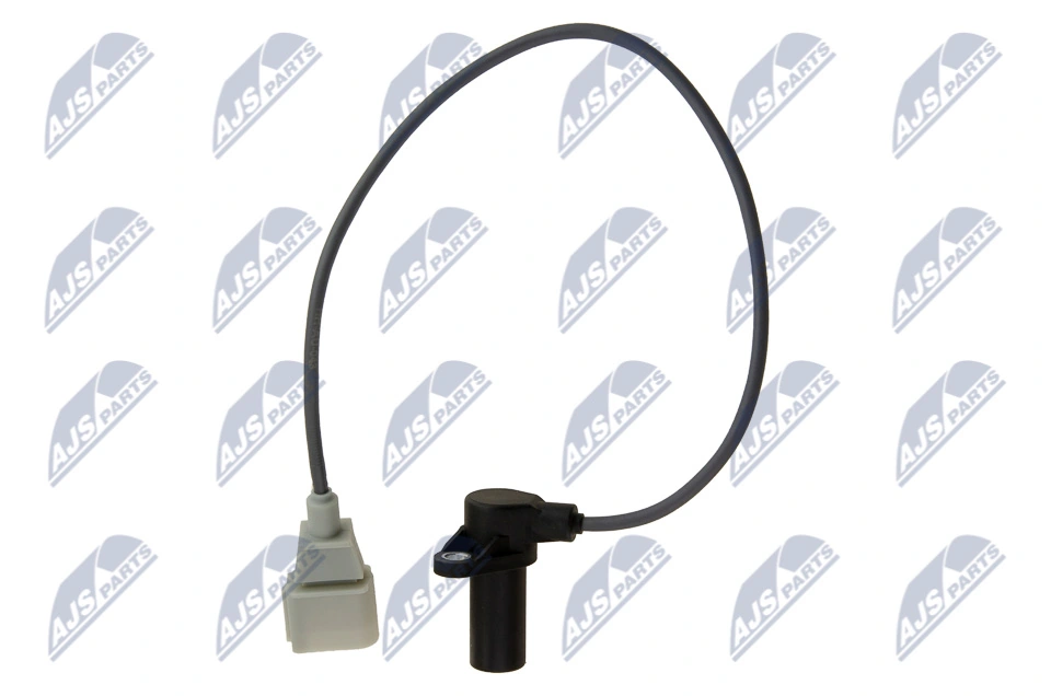 ECPAU043 NTY