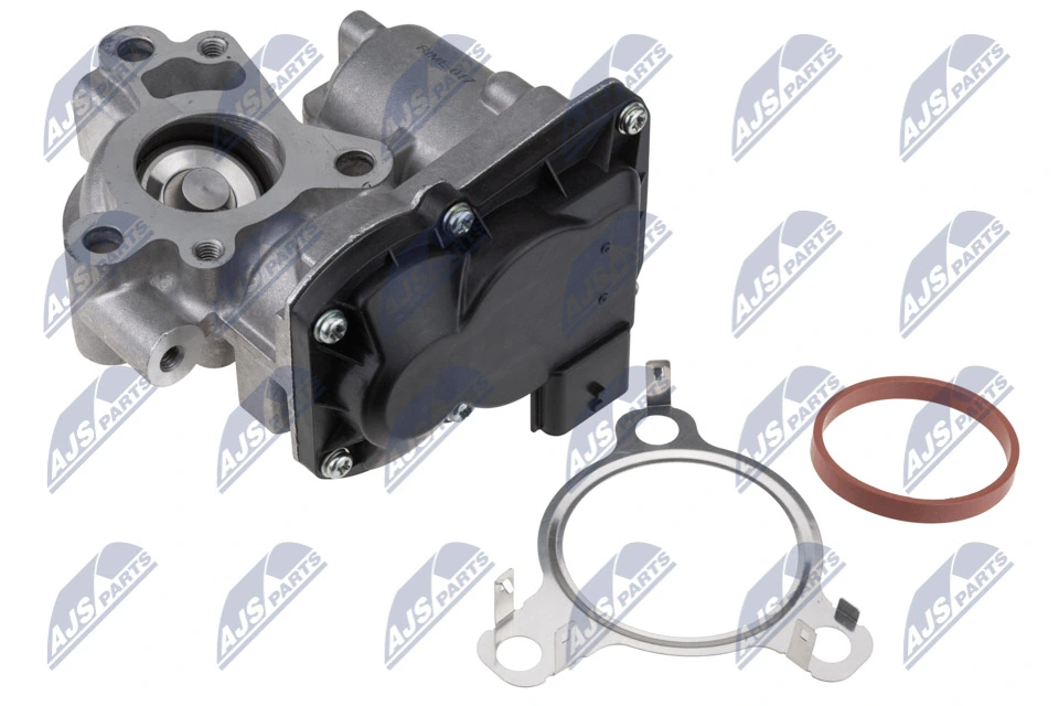  Válvula EGR Nissan Qashqai 2