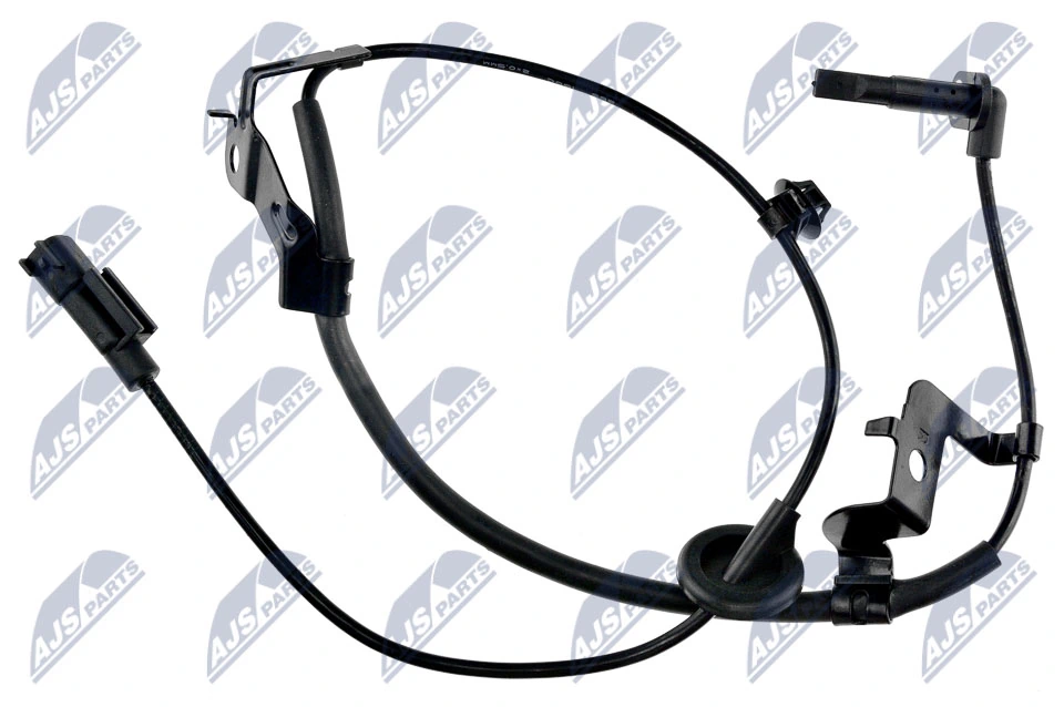 HCAMS050 NTY