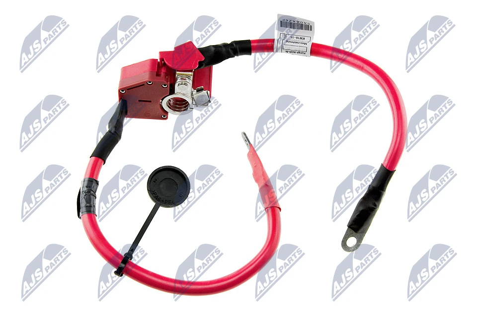 EBPBM000 NTY Cable de terminal positivo de batería