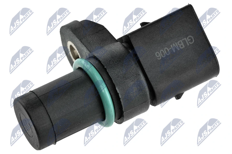 ECPBM006 NTY