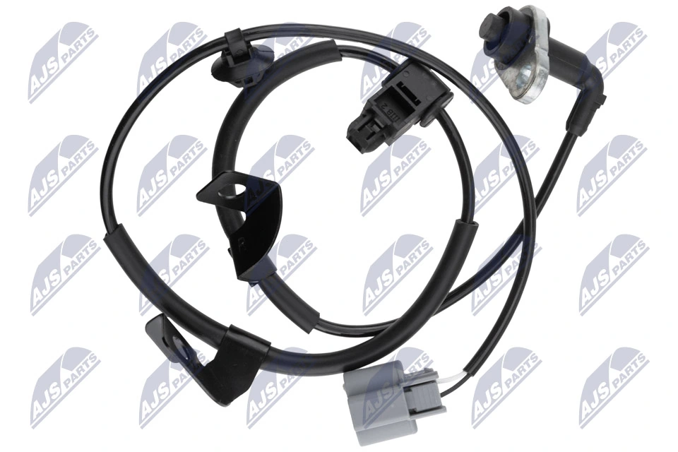 HCAMS094 NTY