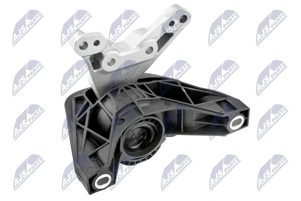 ZPSPL081 NTY