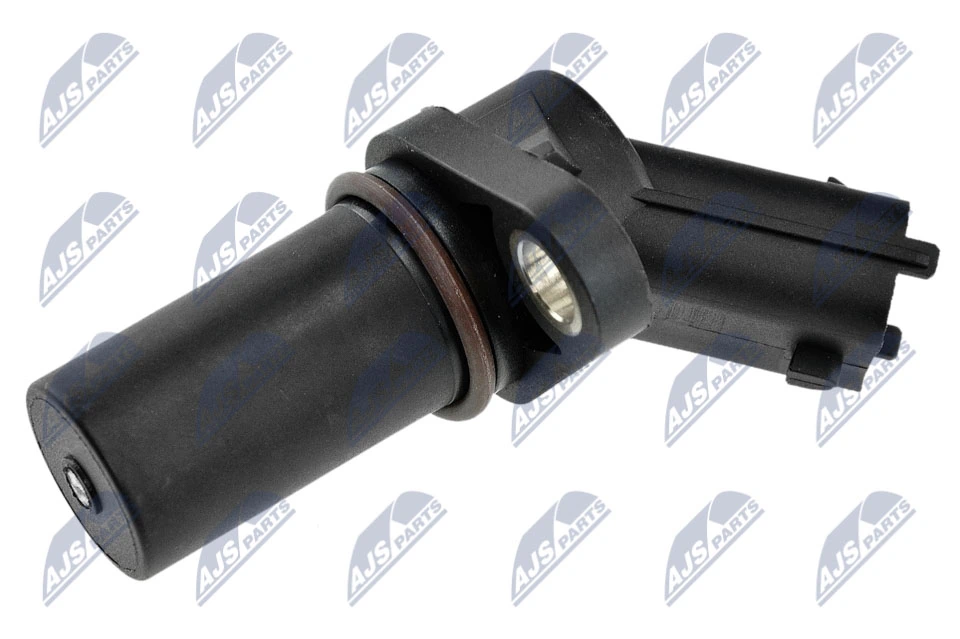 ECPCH017 NTY