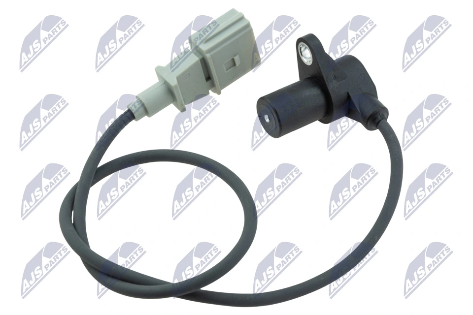 ECPAU045 NTY