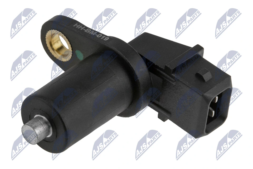 ECPBM019 NTY