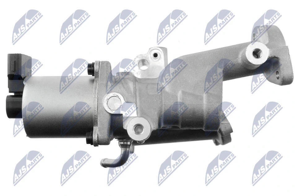 EGR NTY EGRPL016