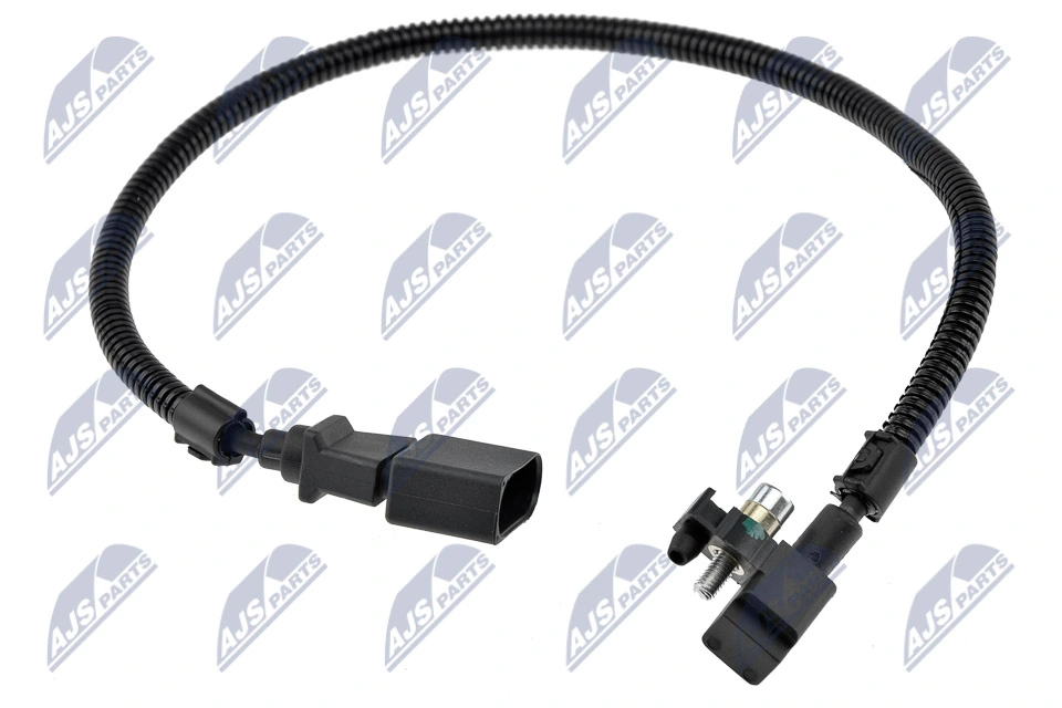 ECPAU031 NTY