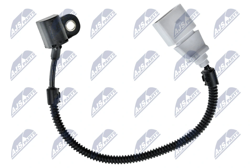 ECPAU017 NTY