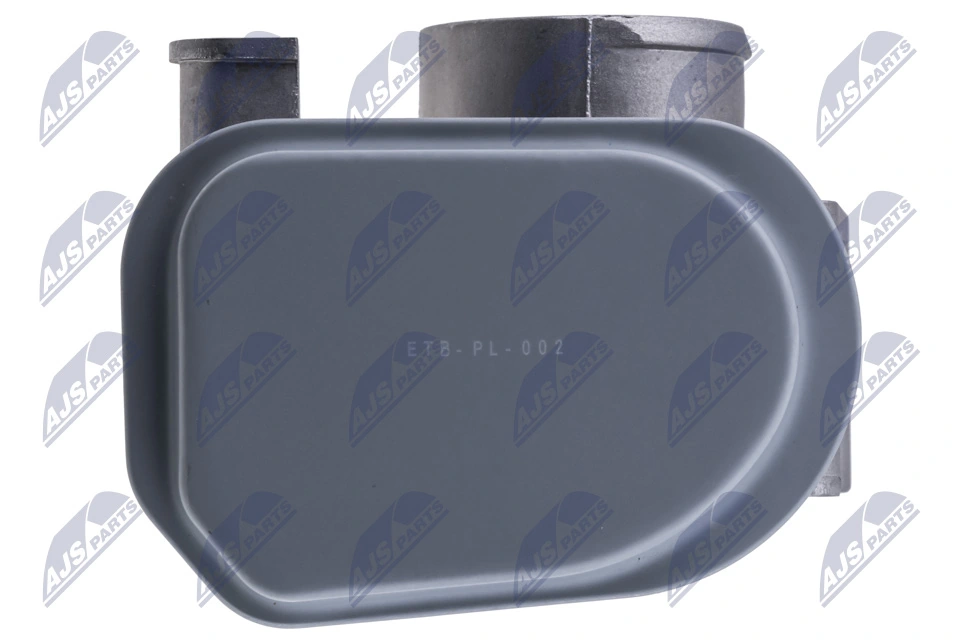 Caja de mariposa NTY ETBPL002