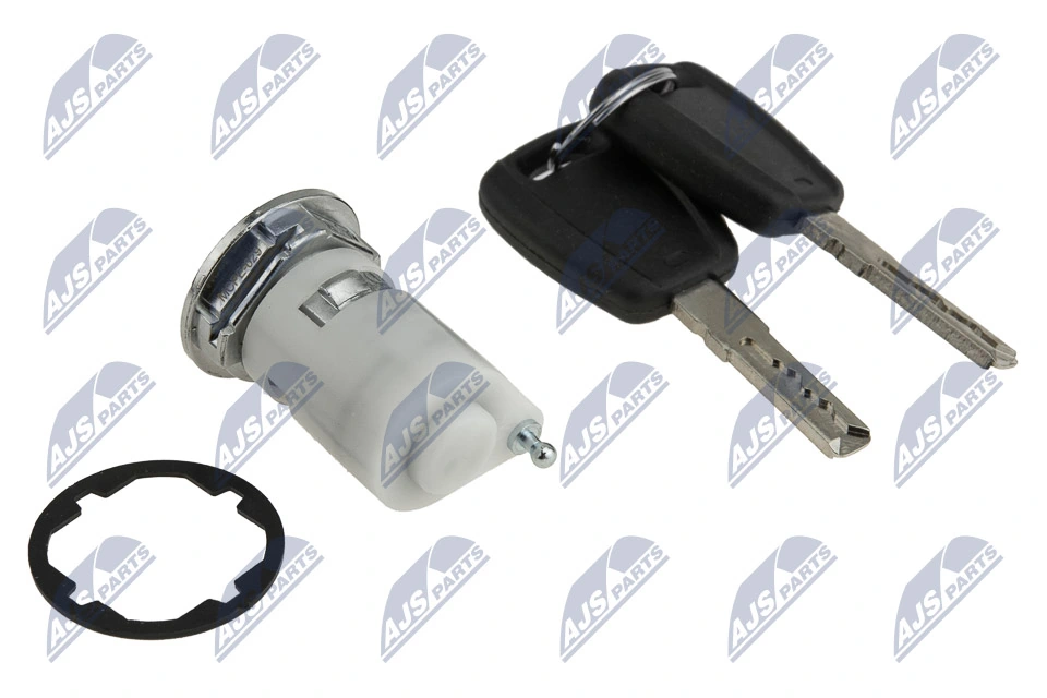 EZCPE029 NTY Bombín de cerradura de puerta delantera derecha