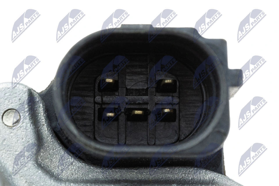Caja de mariposa NTY ETBPL005