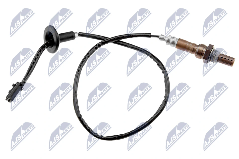ESLMS002 NTY