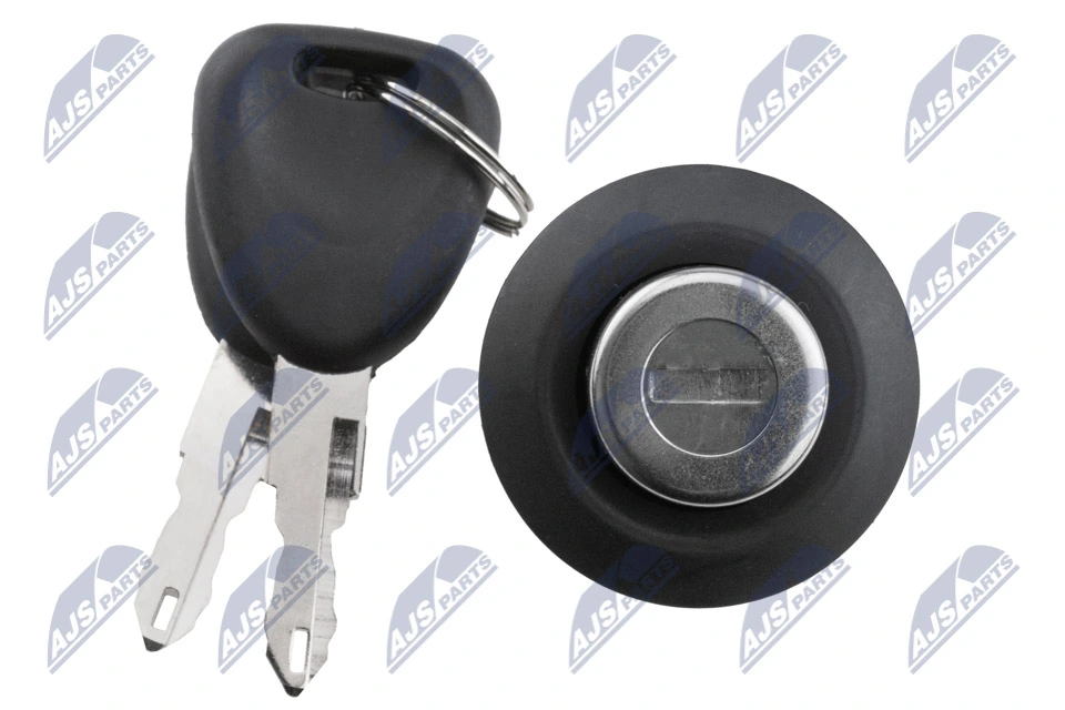 Bombin de cerradura de porton trasero Dacia Sandero I