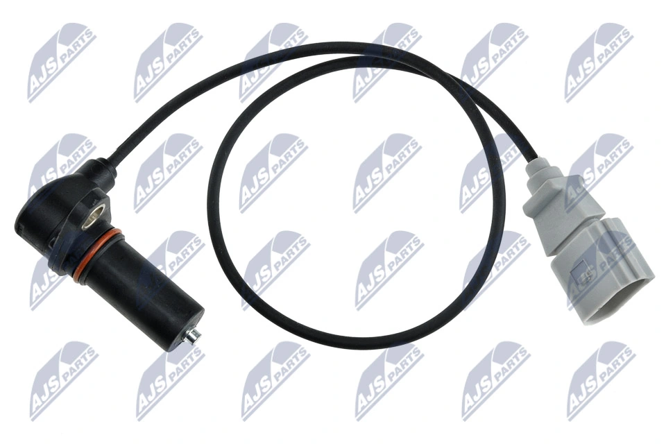 ECPAU008 NTY