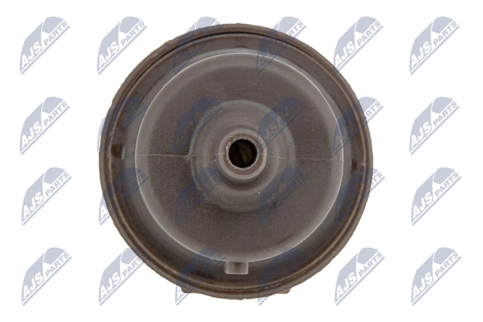 Válvula de ventilación de gases del tanque de combustible EFPCT002 NTY