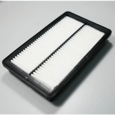 Filtro de aire coche Hyundai Santa Fe IV (TM, TMA)