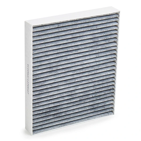 SKIF0170440 Market (OEM) Filtro antipolen