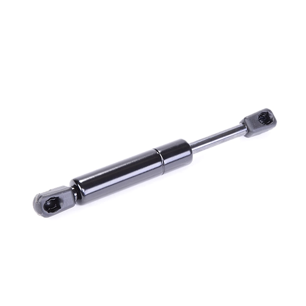 Muelle neumático, tapa delantera Peugeot 406  desde 18,18 €